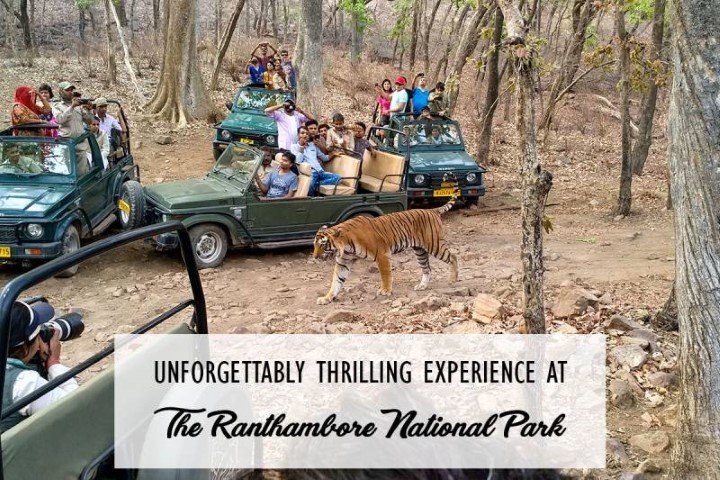 Ranthambore